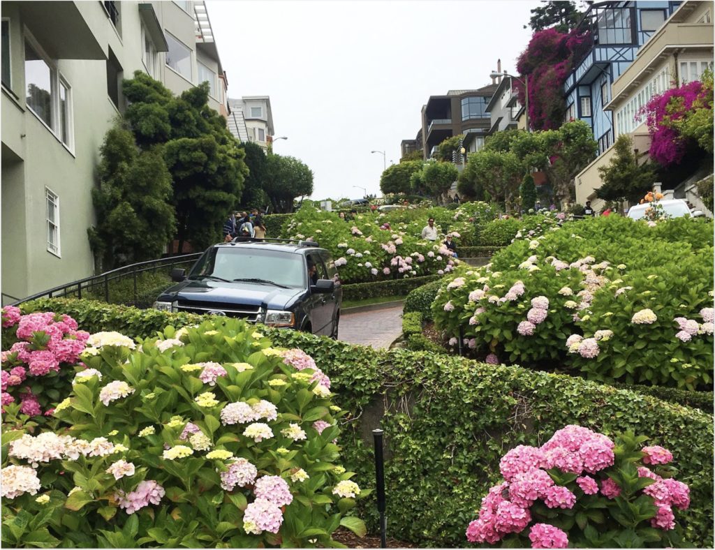 サンフランシスコ観光マップ Silicon Valley Workers